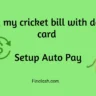 Cricket AutoPay
